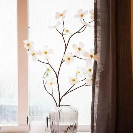 公寓 Bryggen/koengen Studio-apartment 卑爾根