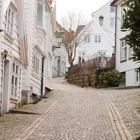 公寓 Bryggen/koengen Studio-apartment